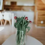 別荘 Sielanka Mazurska *