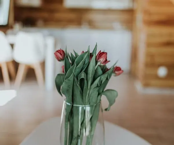 Prázdninový dům Sielanka Mazurska *